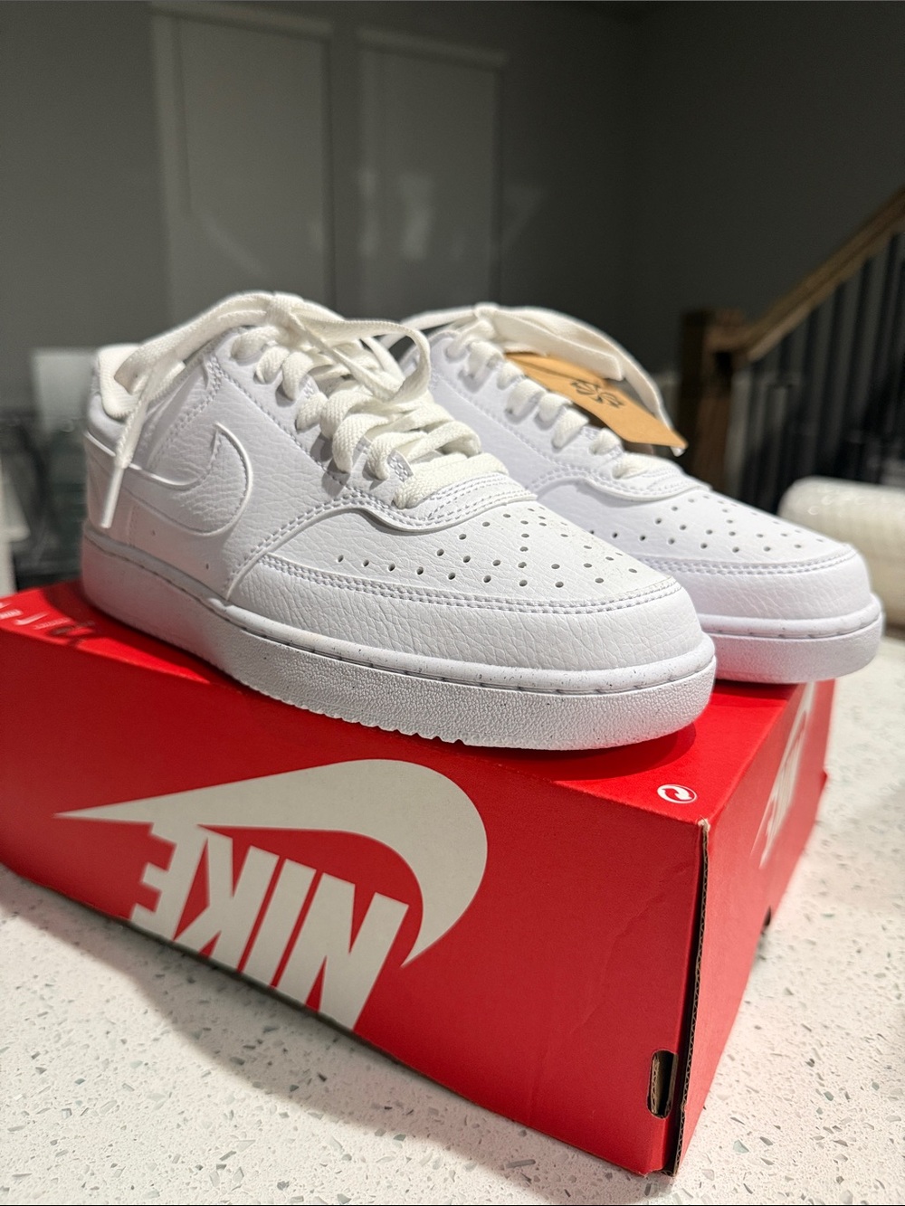 Nike Court Vision Low Next Nature